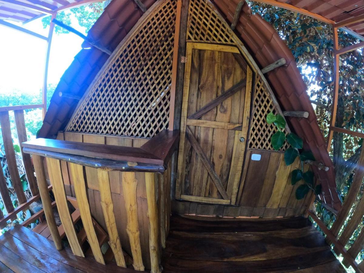 Tree House Samanea Lodge Limón Exterior foto