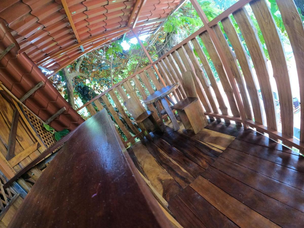 Tree House Samanea Lodge Limón Exterior foto