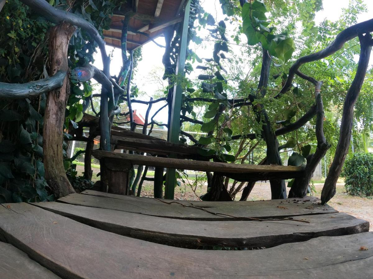 Tree House Samanea Lodge Limón Exterior foto